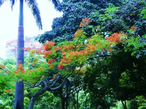 Parque Fernando Peñalver