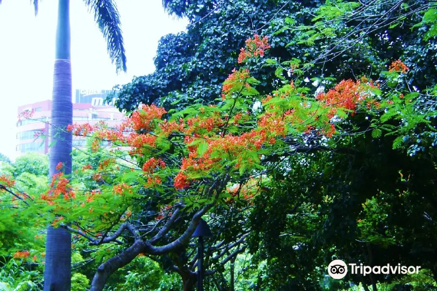 Parque Fernando Penalver