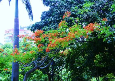 Parque Fernando Peñalver