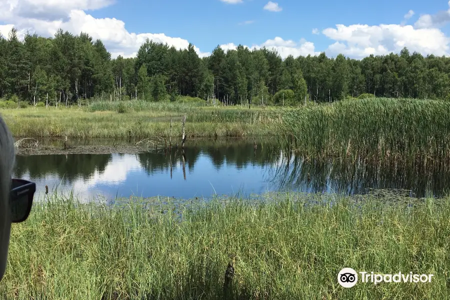 Marshland Nature Reserve Borkovicka