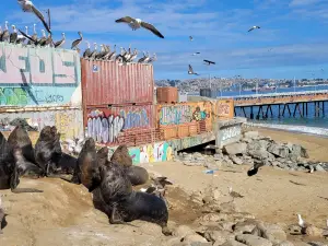 Playa Caleta Portales
