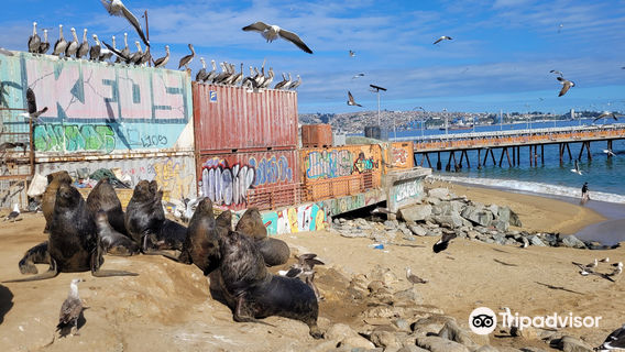 Valparaiso