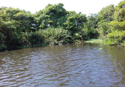 Muthurajawela Marsh