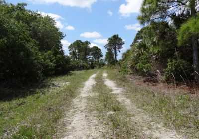 Myakka State Forest