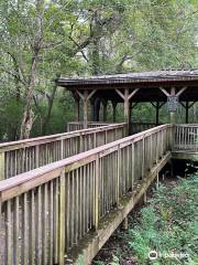 Reed Creek Nature Park & Interpretive Center