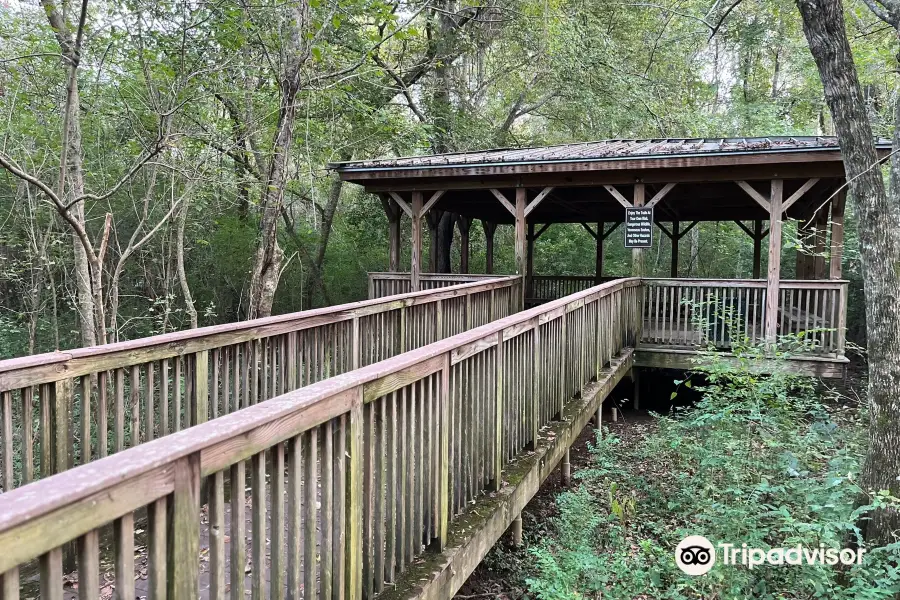 Reed Creek Nature Park & Interpretive Center