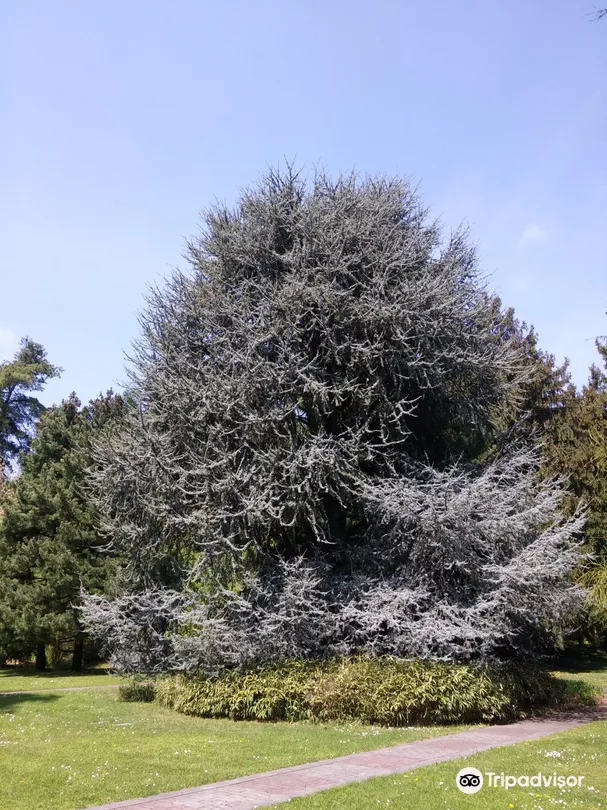 5_Comenius University Botanical Garden