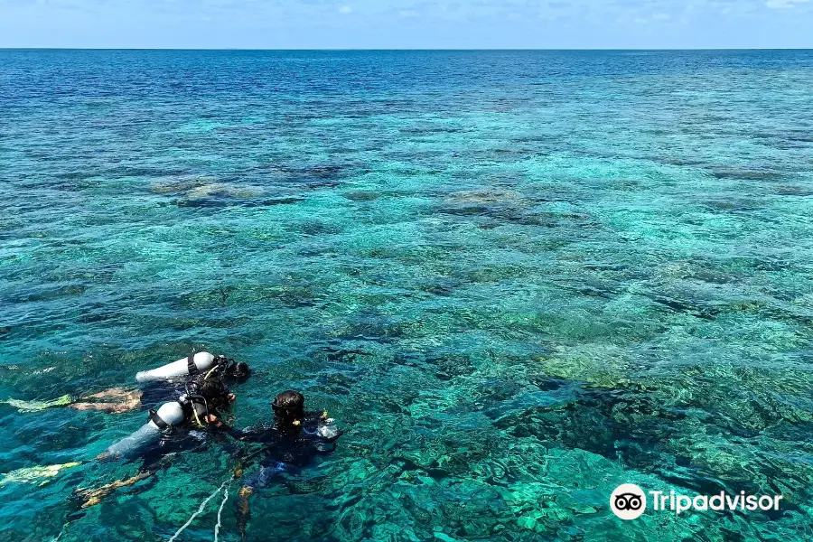 Werner Lau Diving Center Medhufushi