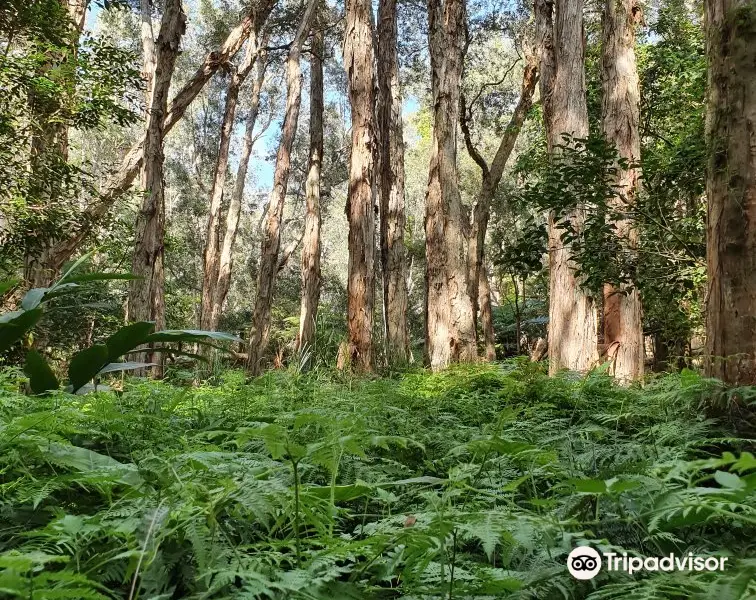 Kooloonbung Creek Nature Park