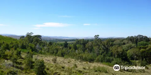 Sendero Claro Oscuro
