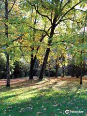 El Jardin Botanico de La Universidad Austral De Chile