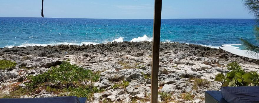 Jackie's on the Reef