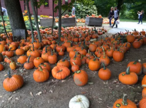 Barden Family Orchard