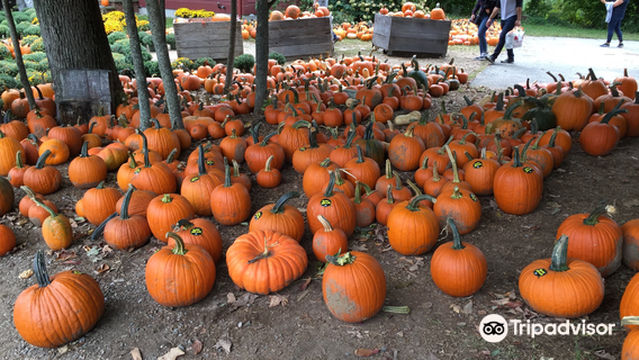 Barden Family Orchard