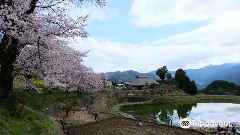 尾首の池