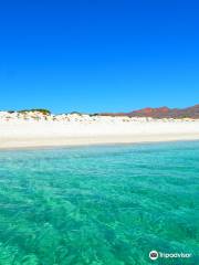 Baja Charters & Excursions