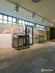Museo di Archeologia e Paleontologia 'Carlo Conti'
