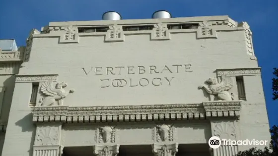 Museum of Vertebrate Zoology