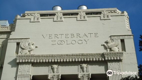 Museum of Vertebrate Zoology