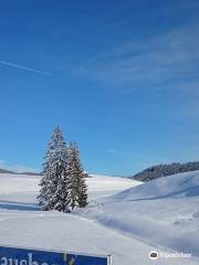 Skigebiet Winklmoos-Alm/Steinplatte