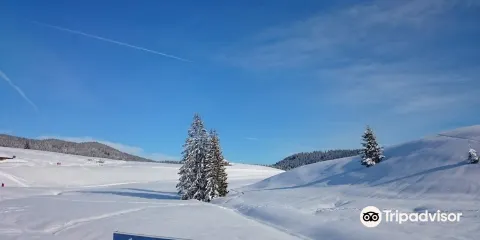 Skigebiet Winklmoos-Alm/Steinplatte
