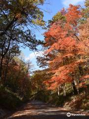 Openlands Lakeshore Preserve