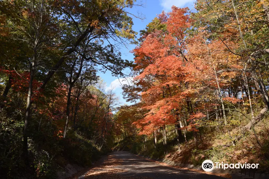 Openlands Lakeshore Preserve