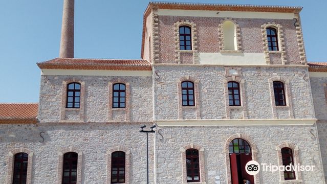 New Archaeological Museum of Chalkis Arethousa