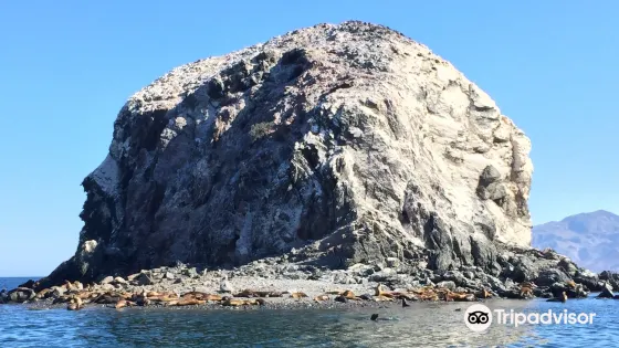 Bahía de los Ángeles