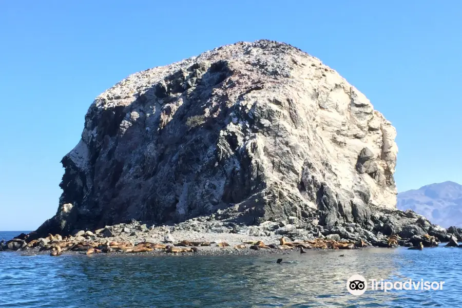 Bahia de Los Angeles