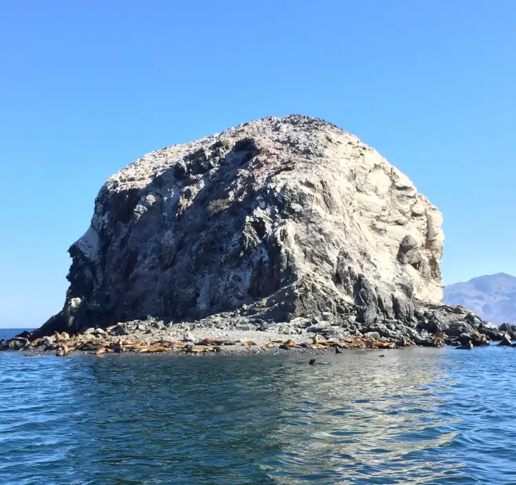 Hotels in Bahía de los Ángeles