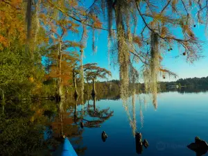 Jones Lake State Park