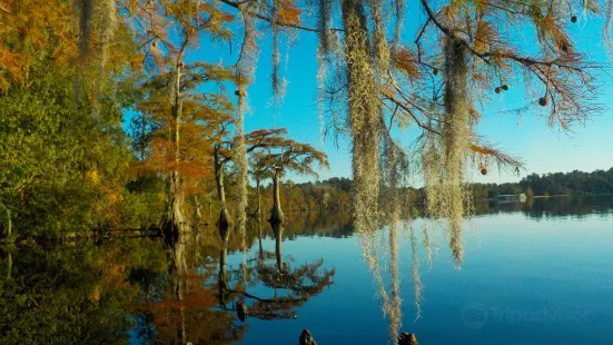 Jones Lake State Park