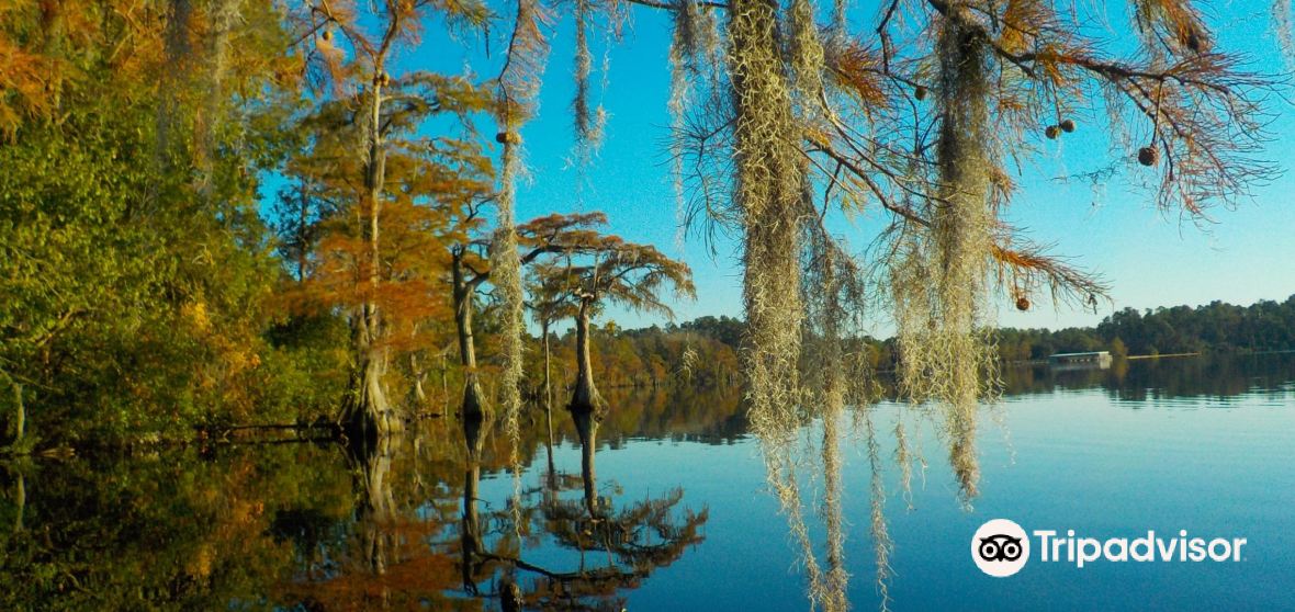 Things to Do in Bladen County in 2024 Top Attractions, Local Food