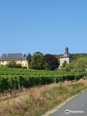 Weingut Schloss Vollrads