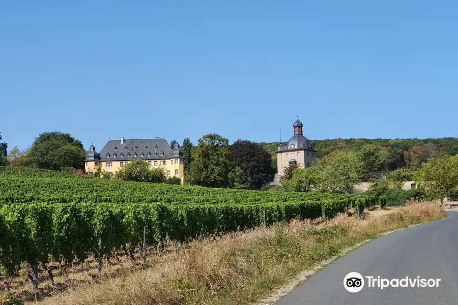 Weingut Schloss Vollrads