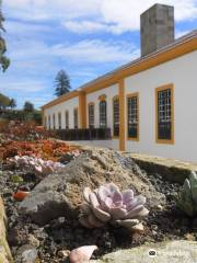 Palácio dos Capitães Generais