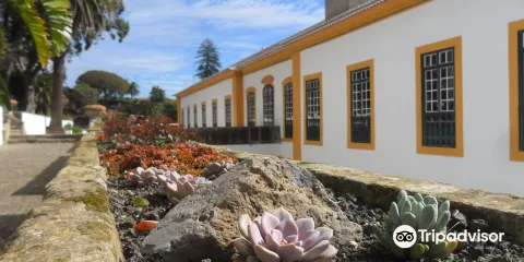 Palácio dos Capitães Generais