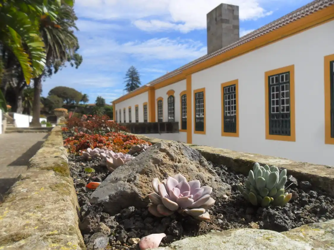 Palácio dos Capitães Generais附近的飯店