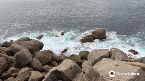 Kaiki Walk - Granite Island