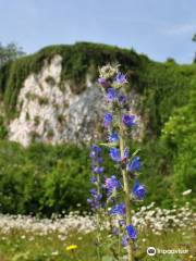 Monkton Nature Reserve