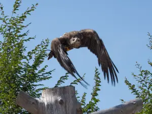 アクロバティ・デル・ソーレ公園