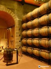 Museo del vino