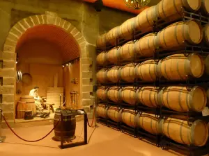 Museo del Vino