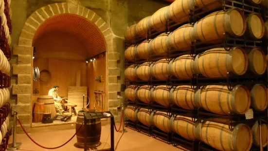 Museo del Vino