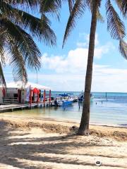 Scuba School And Family Dive Center Belize