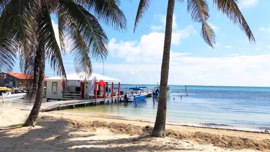 Scuba School And Family Dive Center Belize