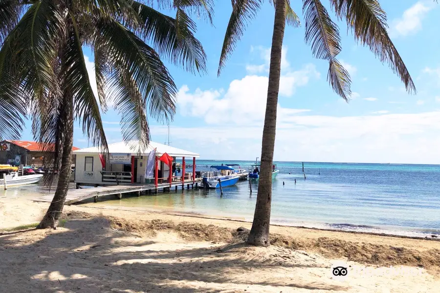 Scuba School And Family Dive Center Belize