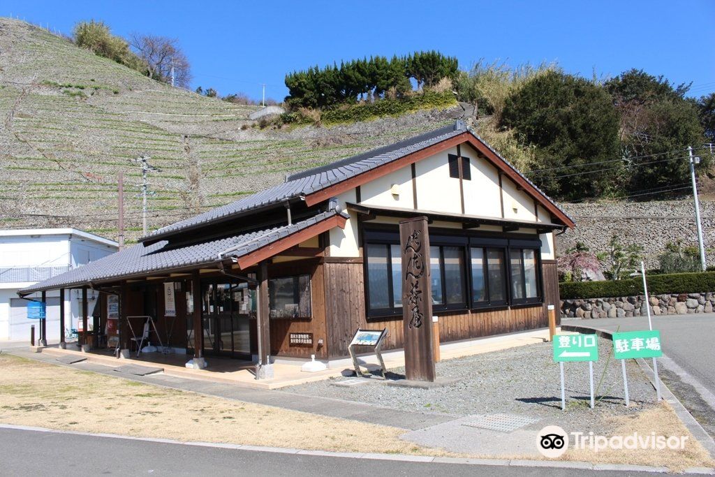 Yusumizugaura Terraced Fields