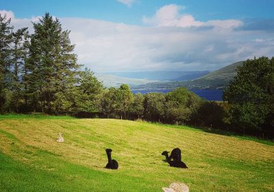 County Galway